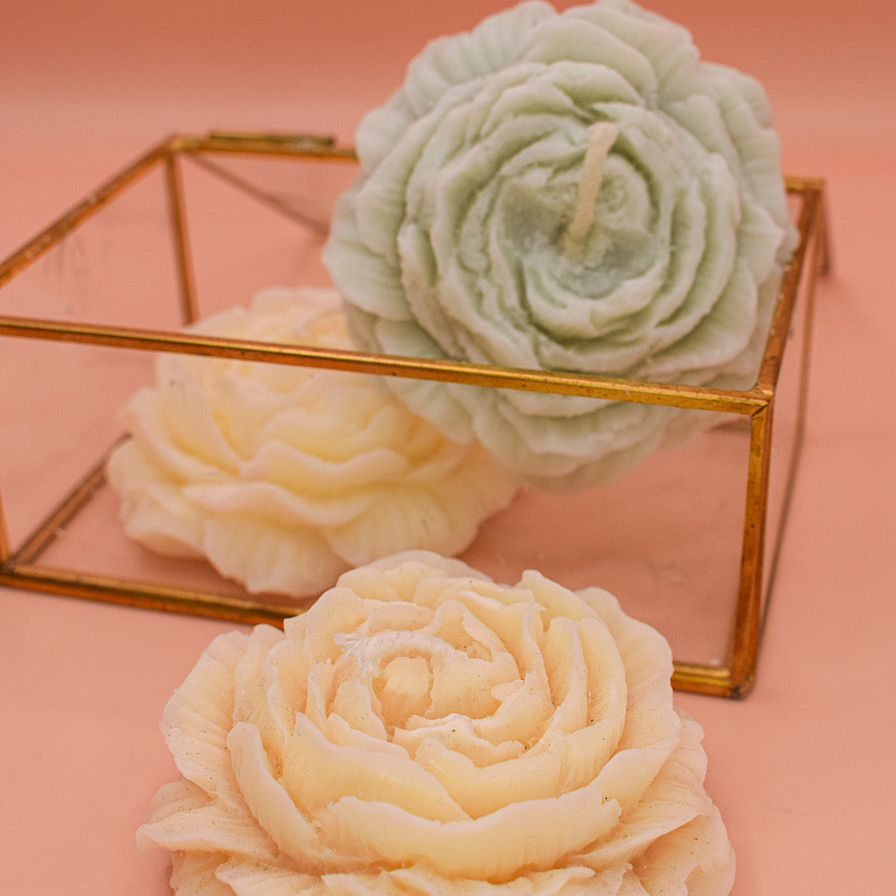 Peony