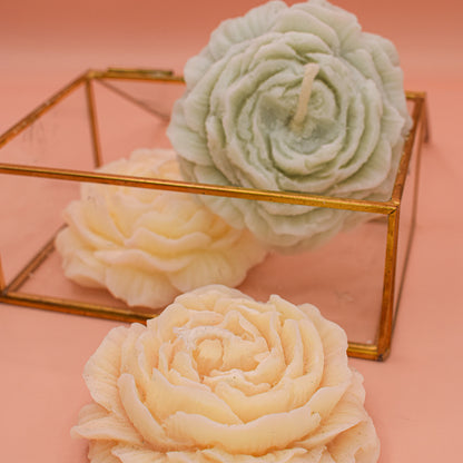 Peony