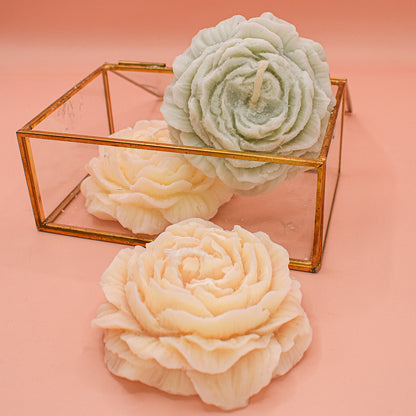 Peony